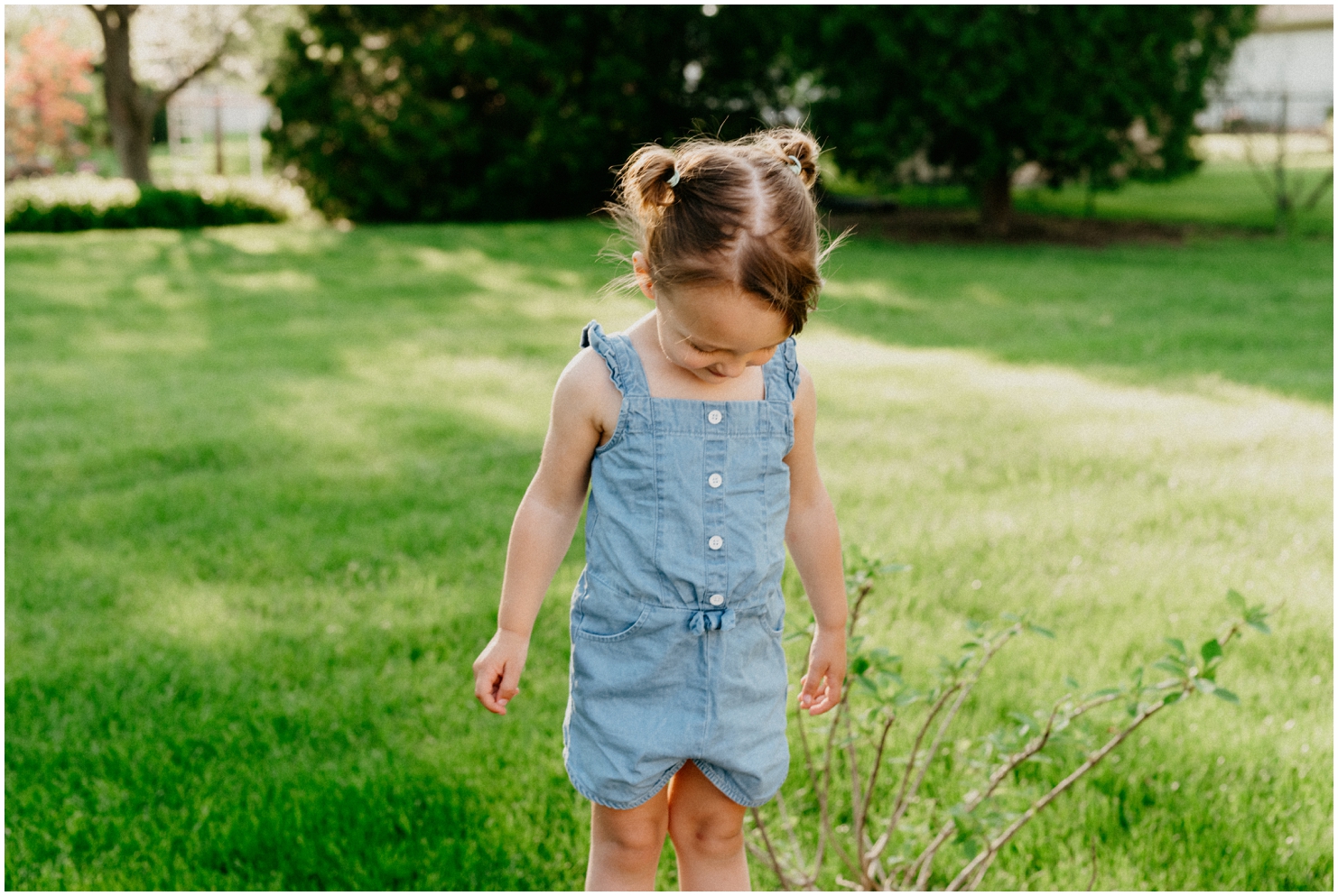 Waukesha Wisconsin Family Photographer