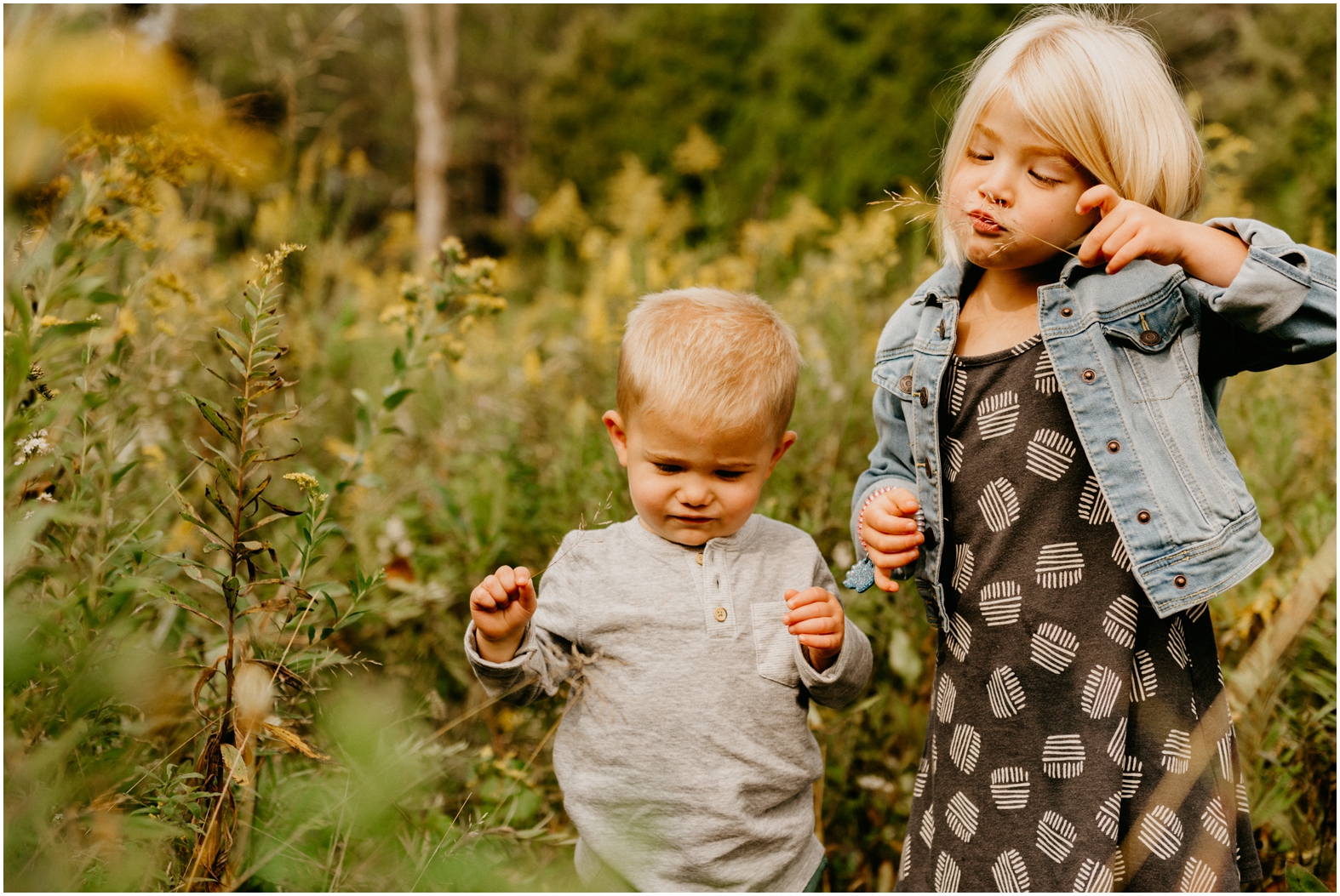 waukesha family photographer