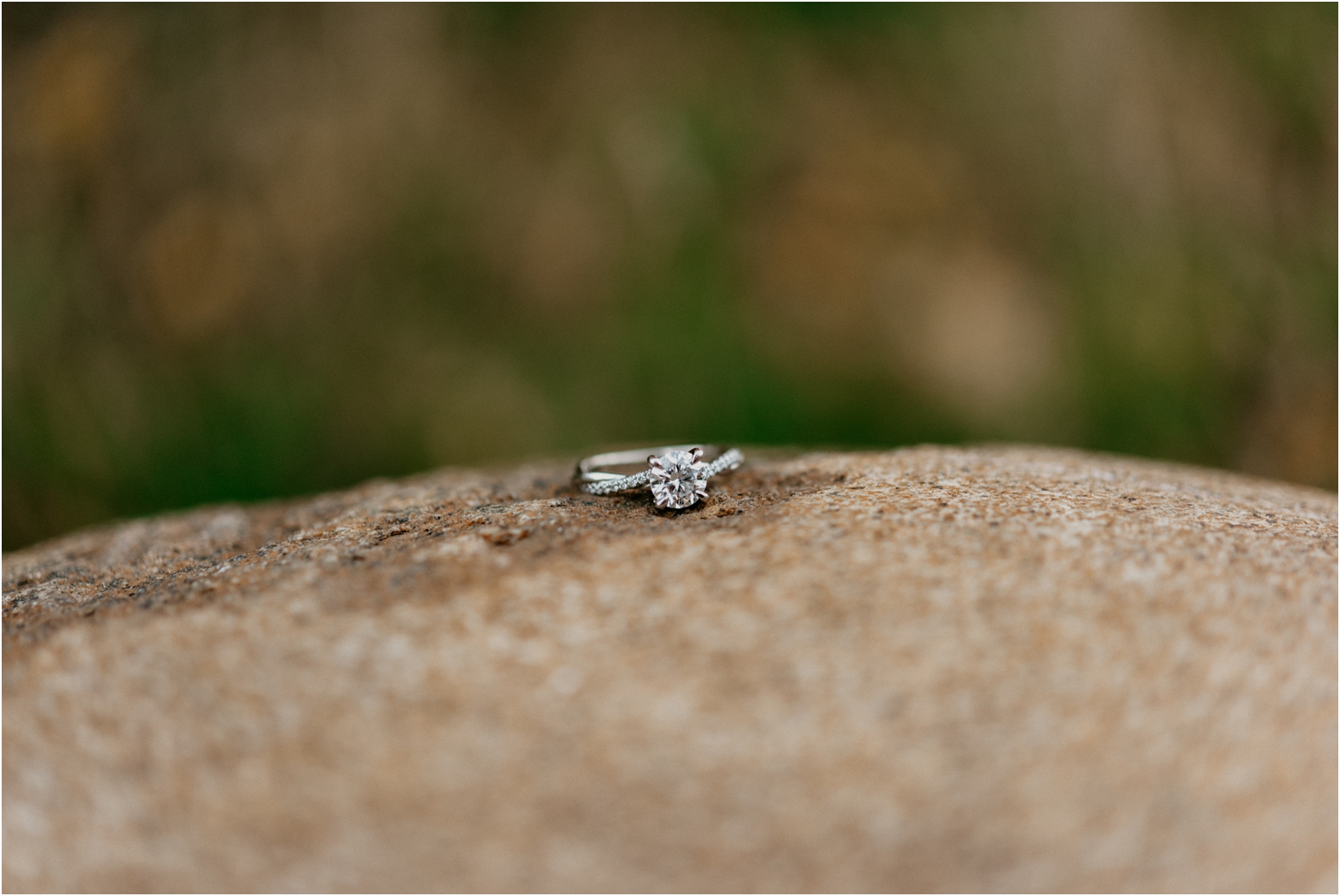 Minooka Park Waukesha Wisconsin Photographer