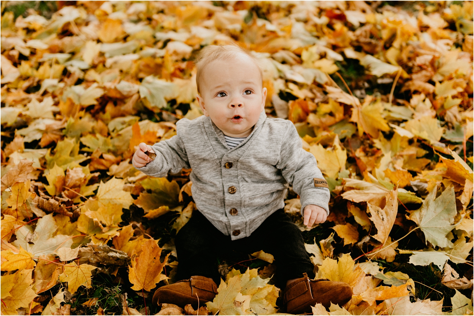 Grafton wisconsin family photographer