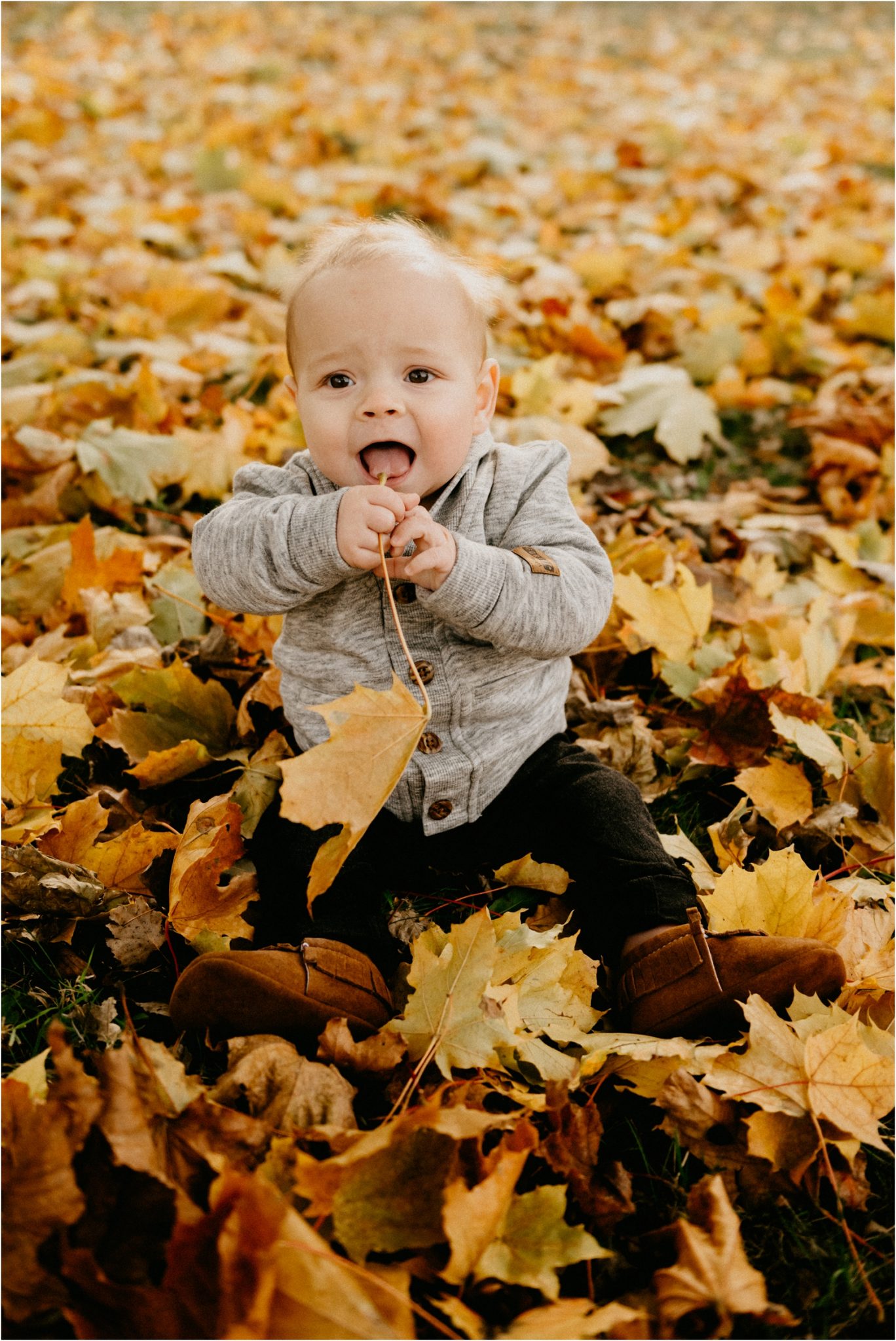 Grafton wisconsin family photographer