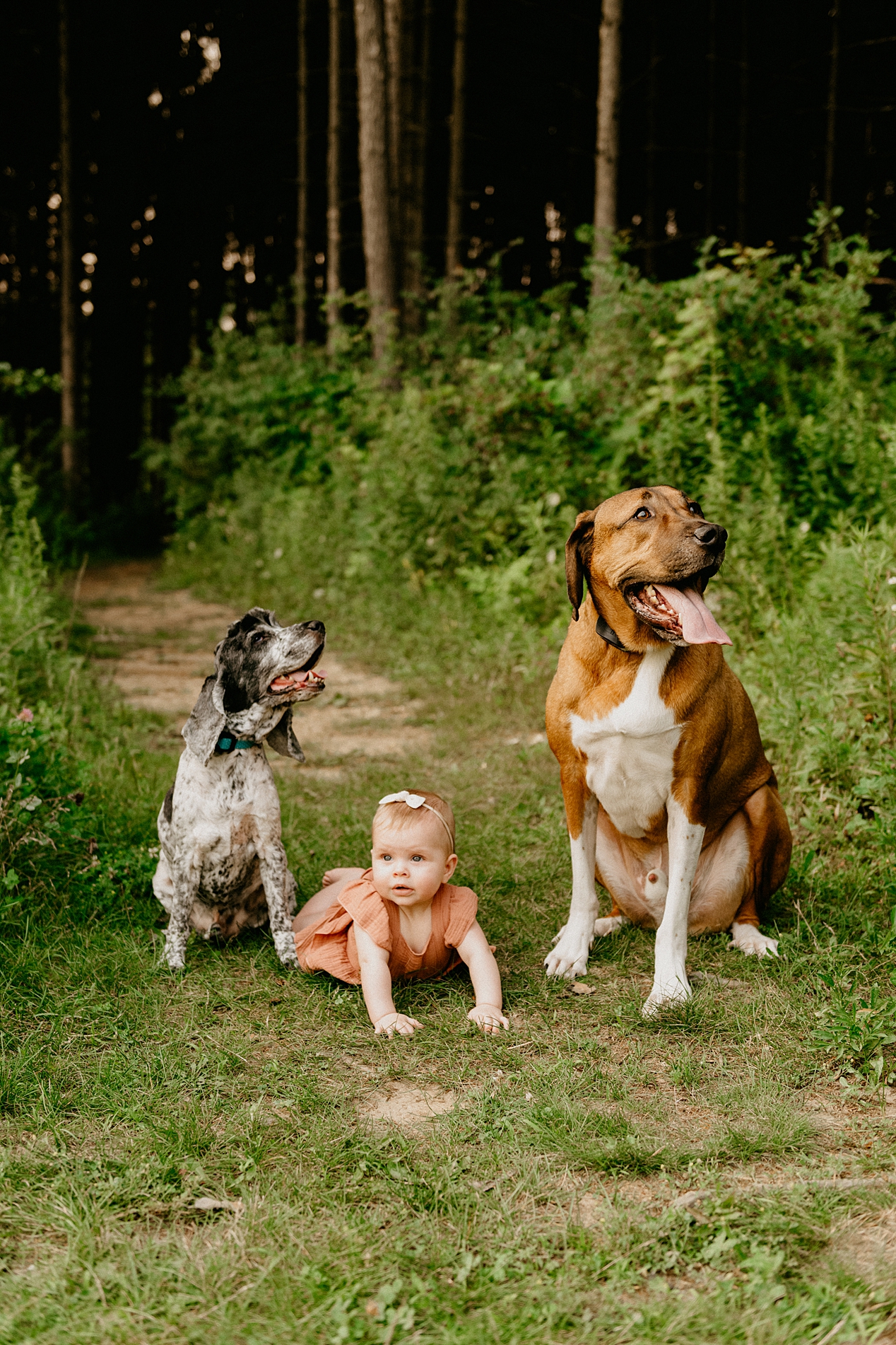 Richfield Family Photographer Wisconsin