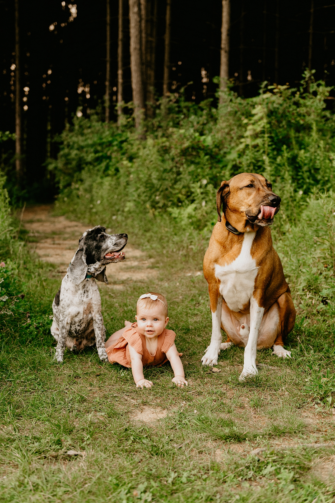 Richfield Family Photographer Wisconsin