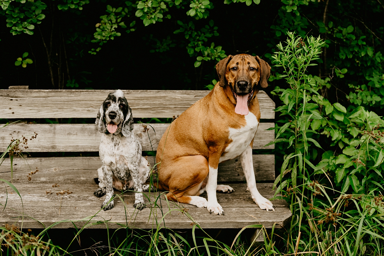 Richfield Family Photographer Wisconsin