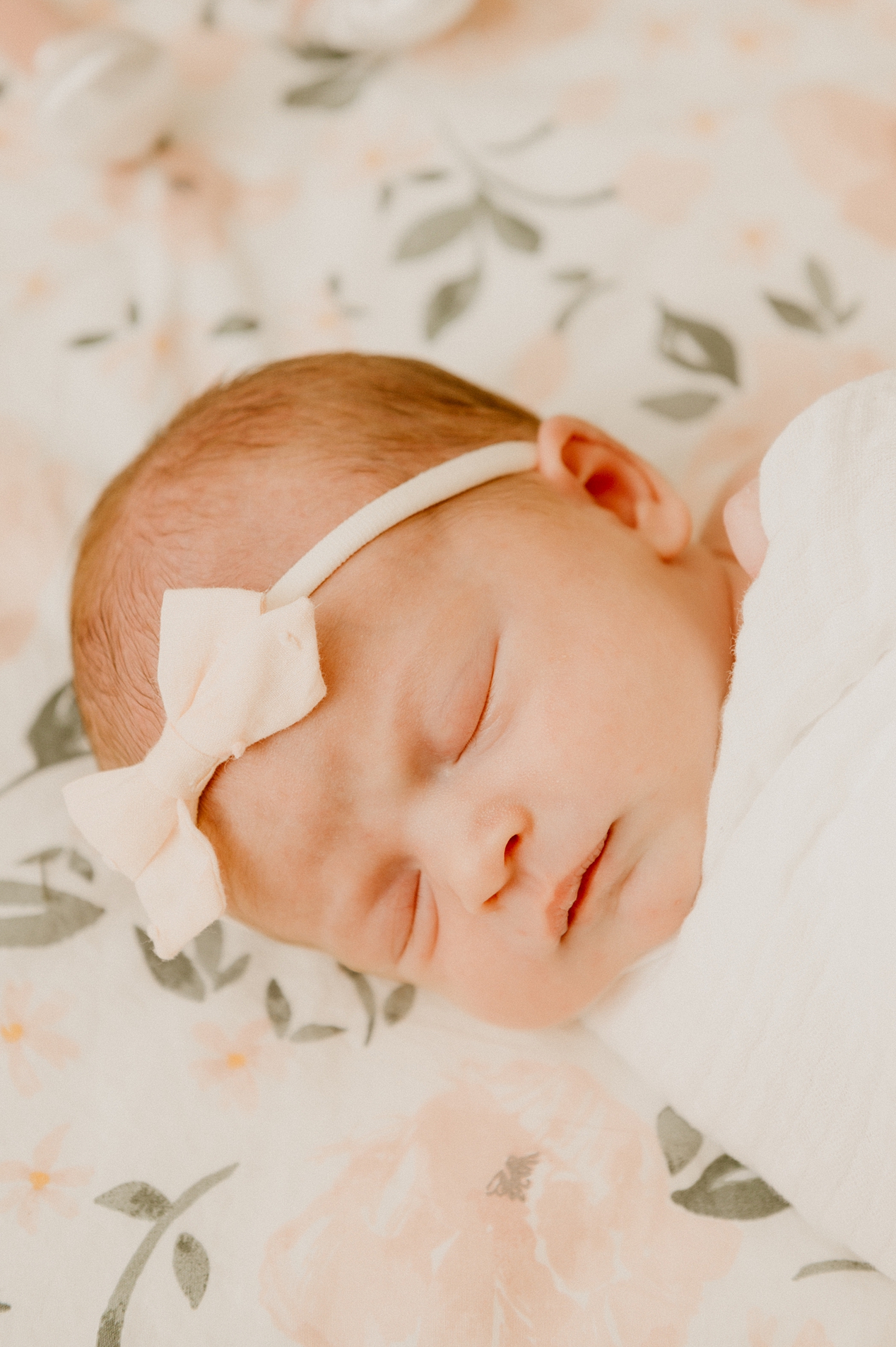 in home Newborn photography