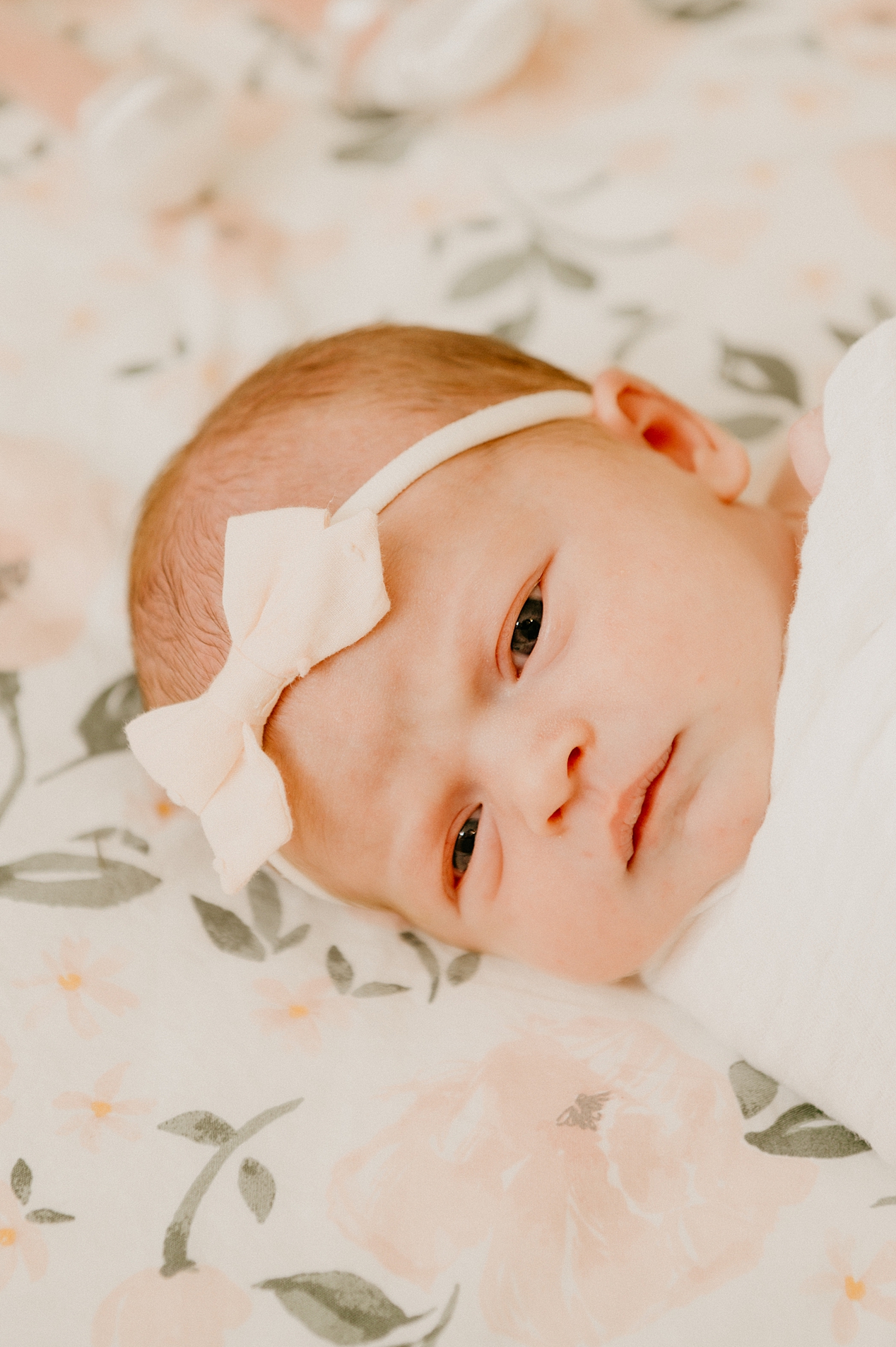 in home Newborn photography