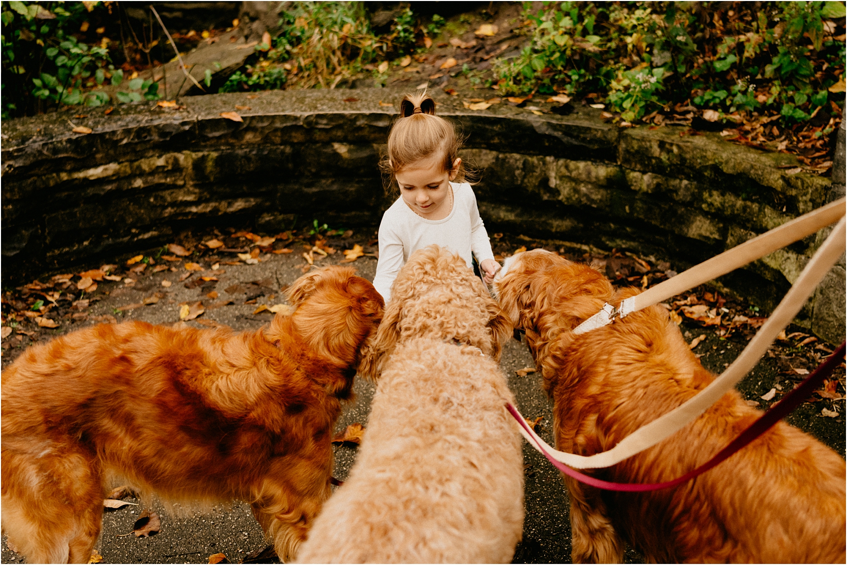 wisconsin family photographer