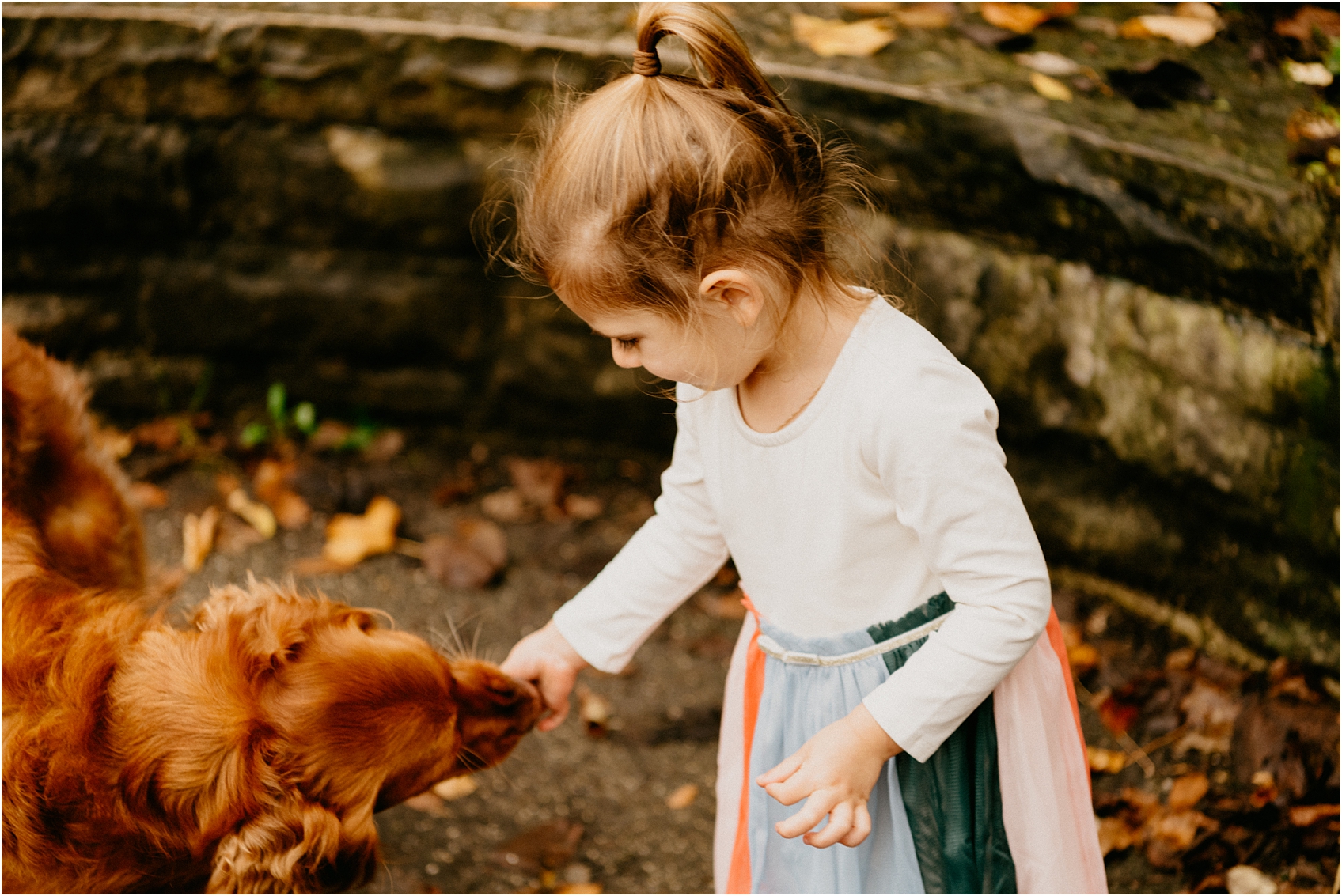 wisconsin family photographer