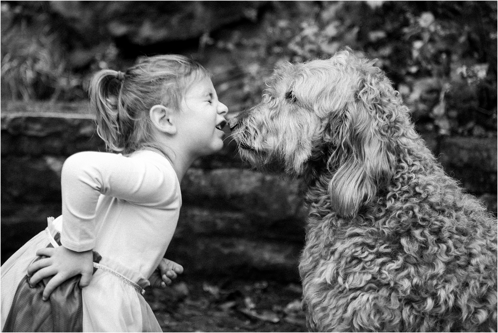 wisconsin family photographer
