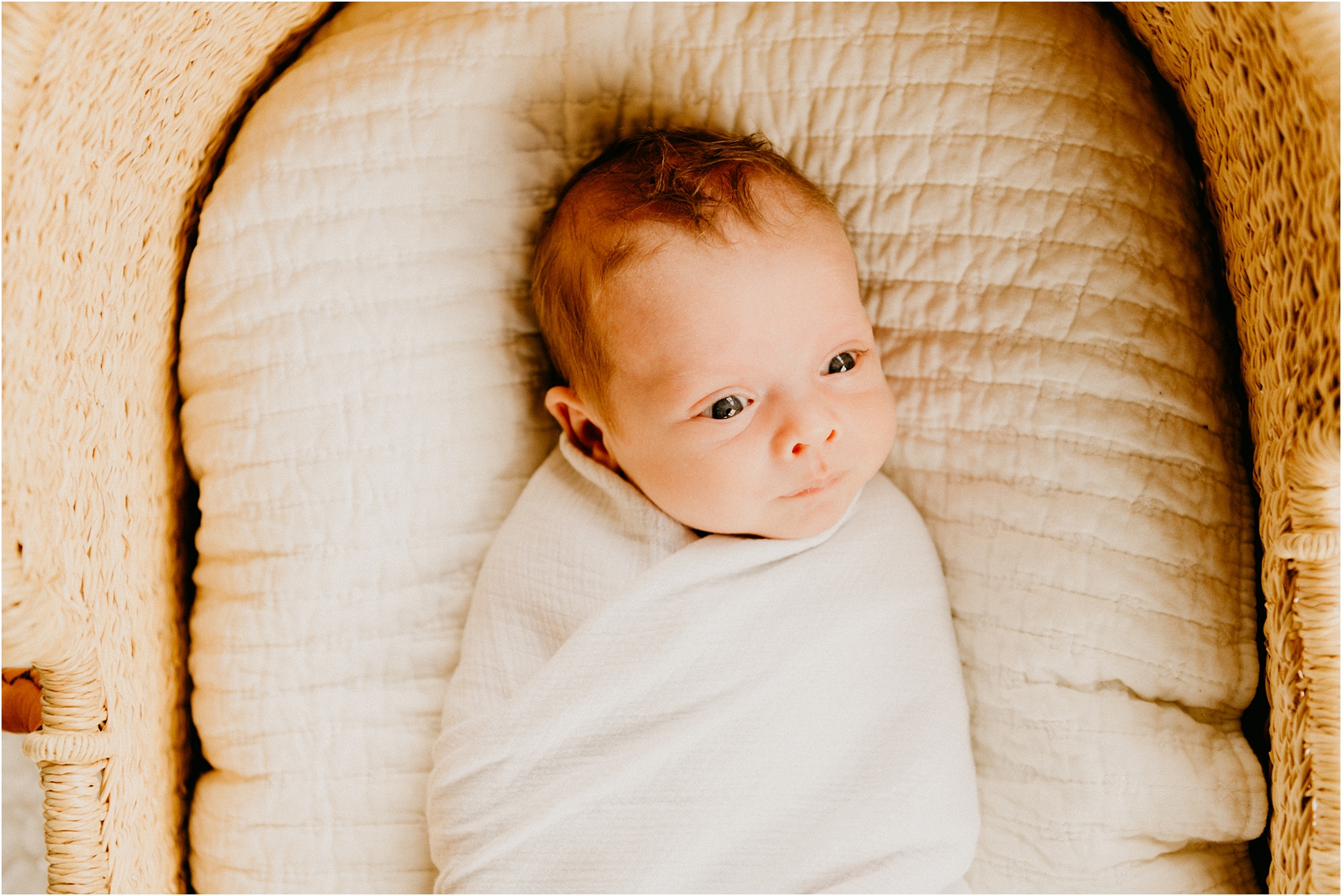 newborn baby in a basket