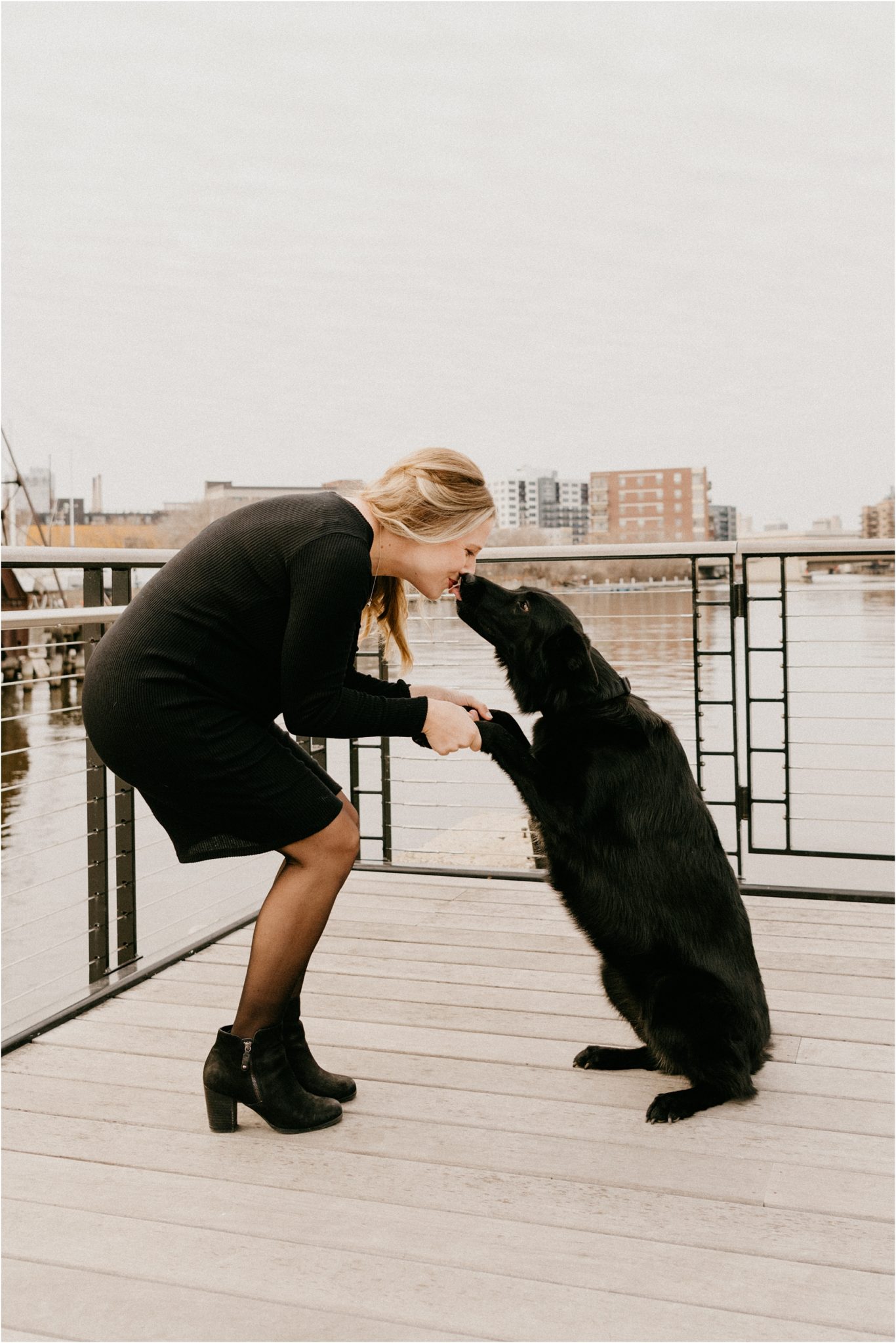 milwaukee maternity photography session with dog