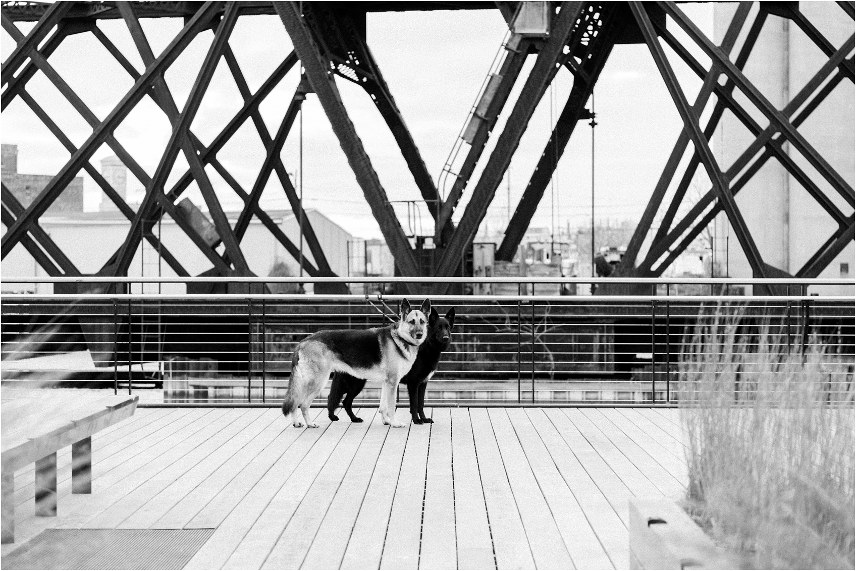studio 29 photography milwaukee maternity photography session