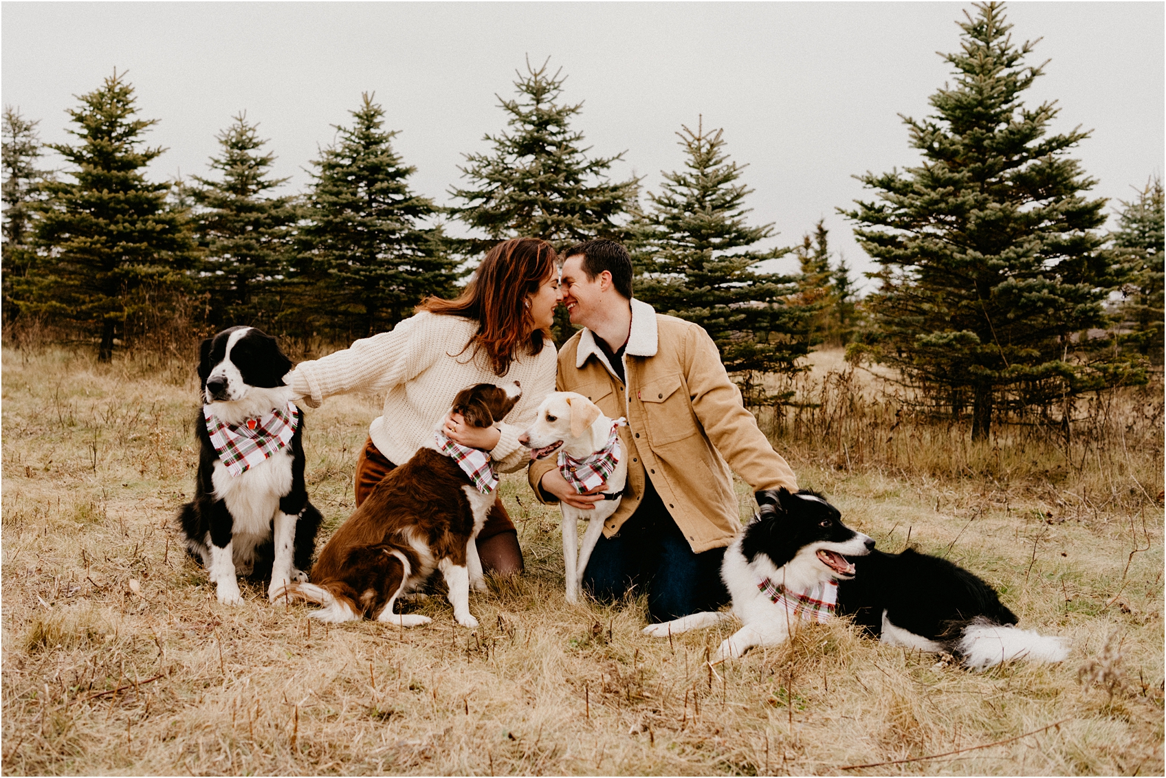 wisconsin wedding with dogs