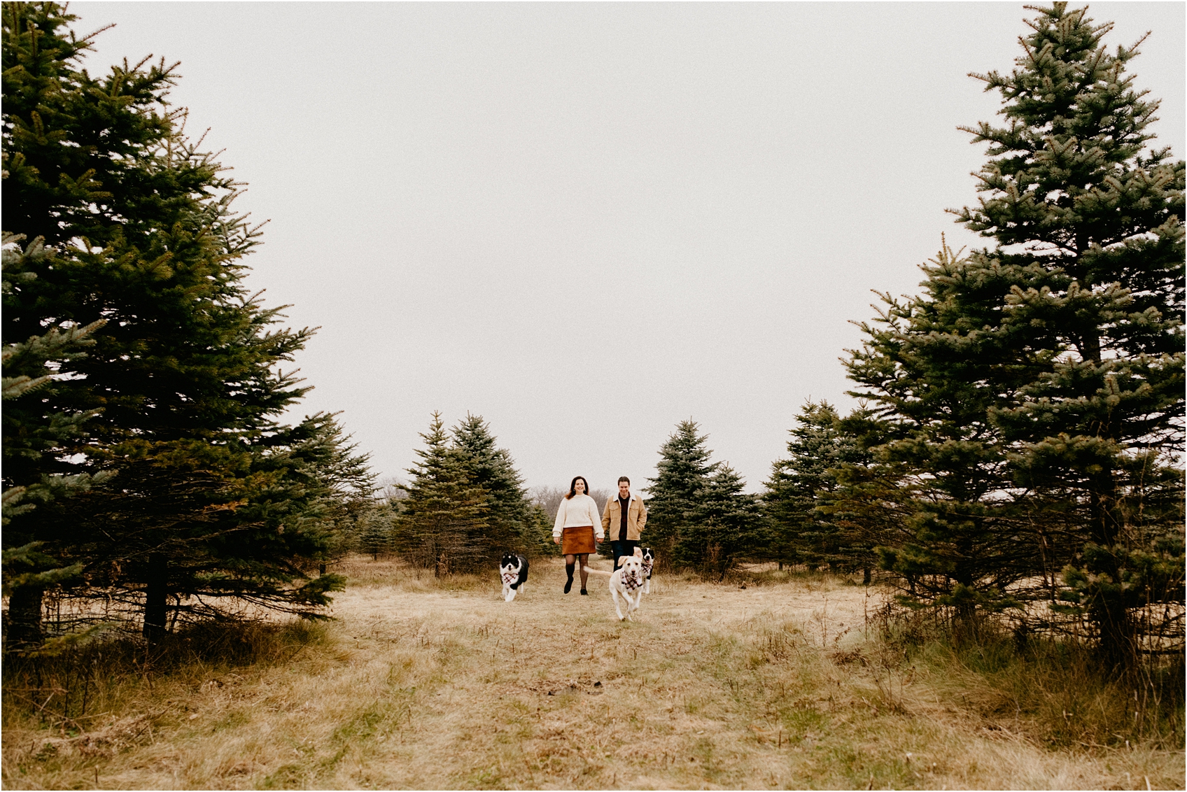 wisconsin wedding with dogs