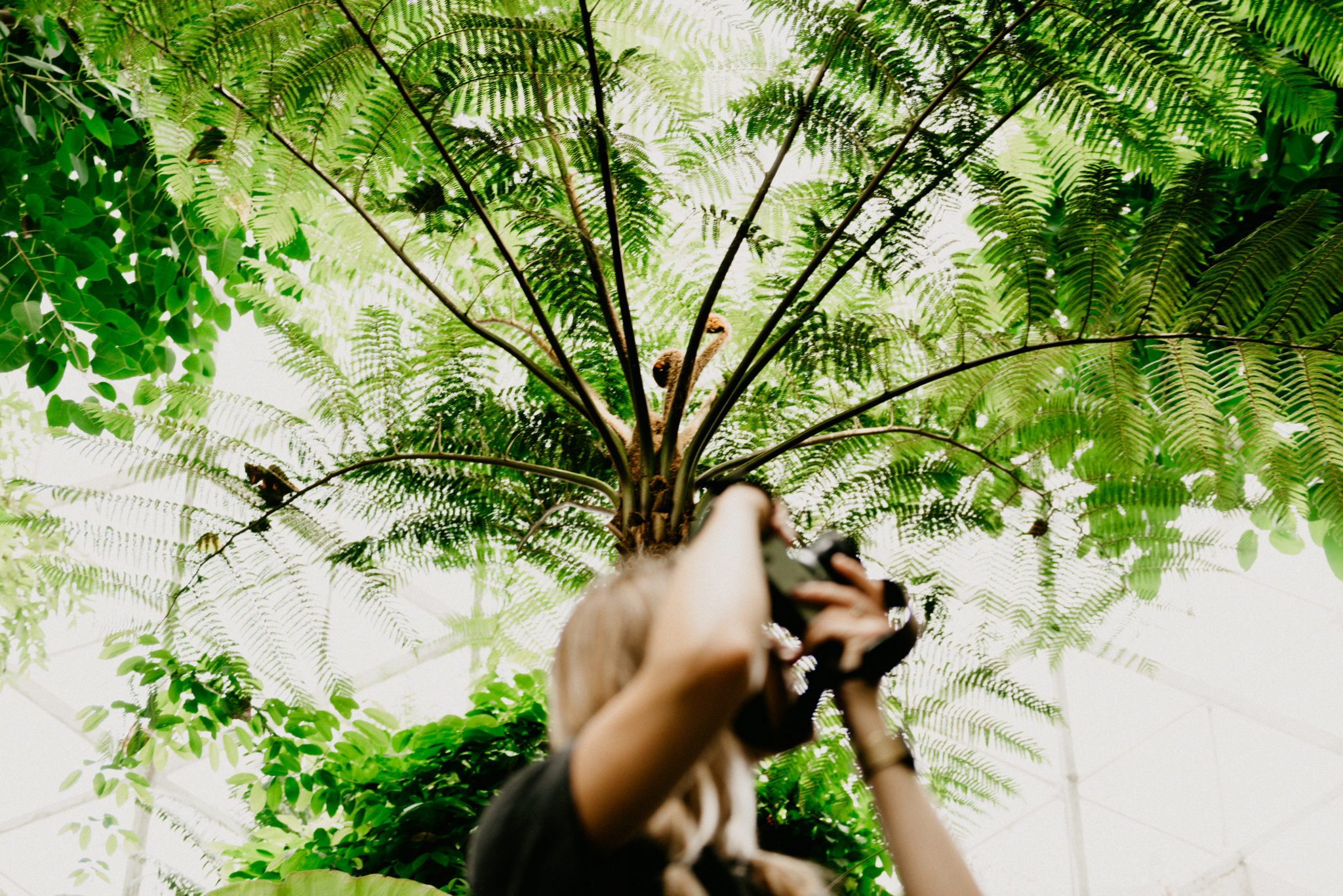 taking photos at the milwaukee domes