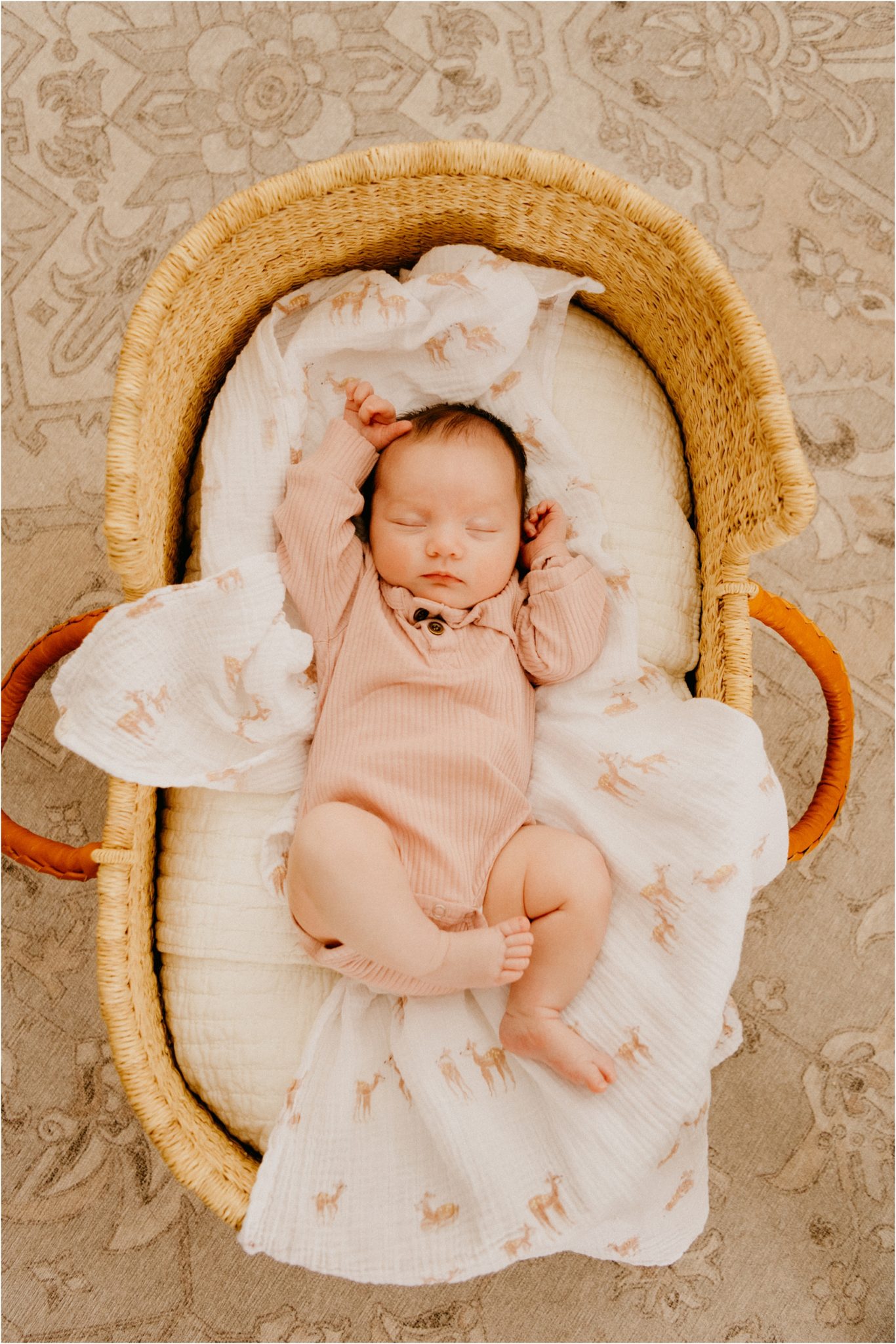 baby in a basket 