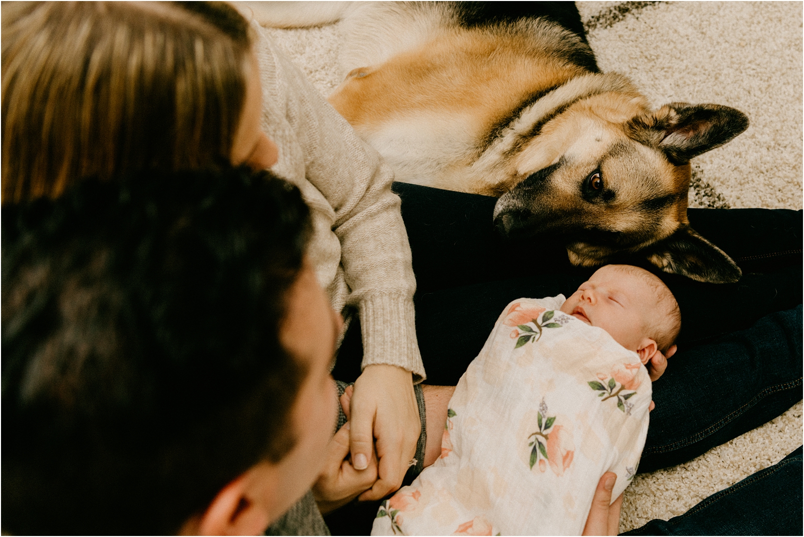 dog in lap with baby