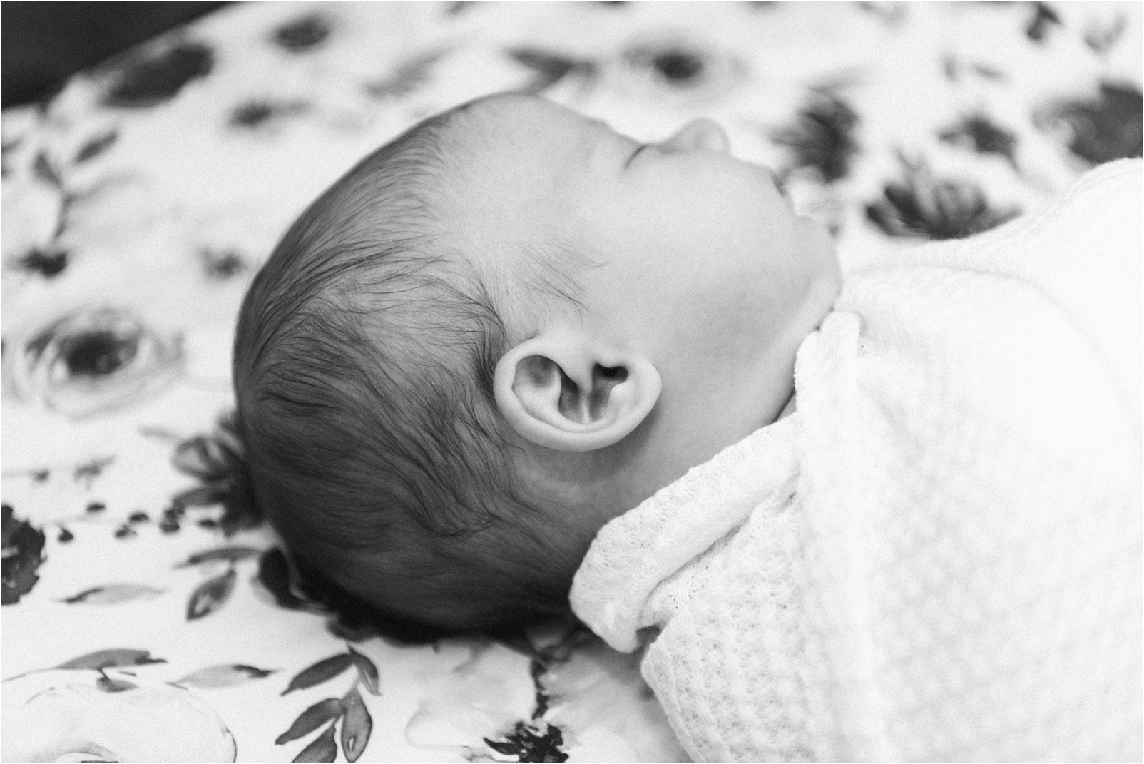 baby ear