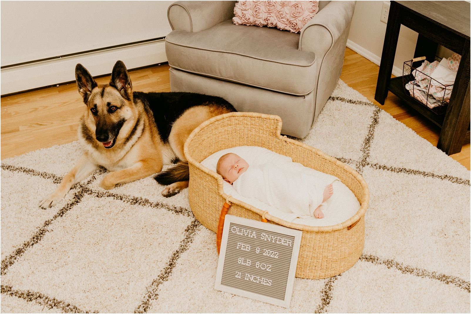 dog in nursery with baby