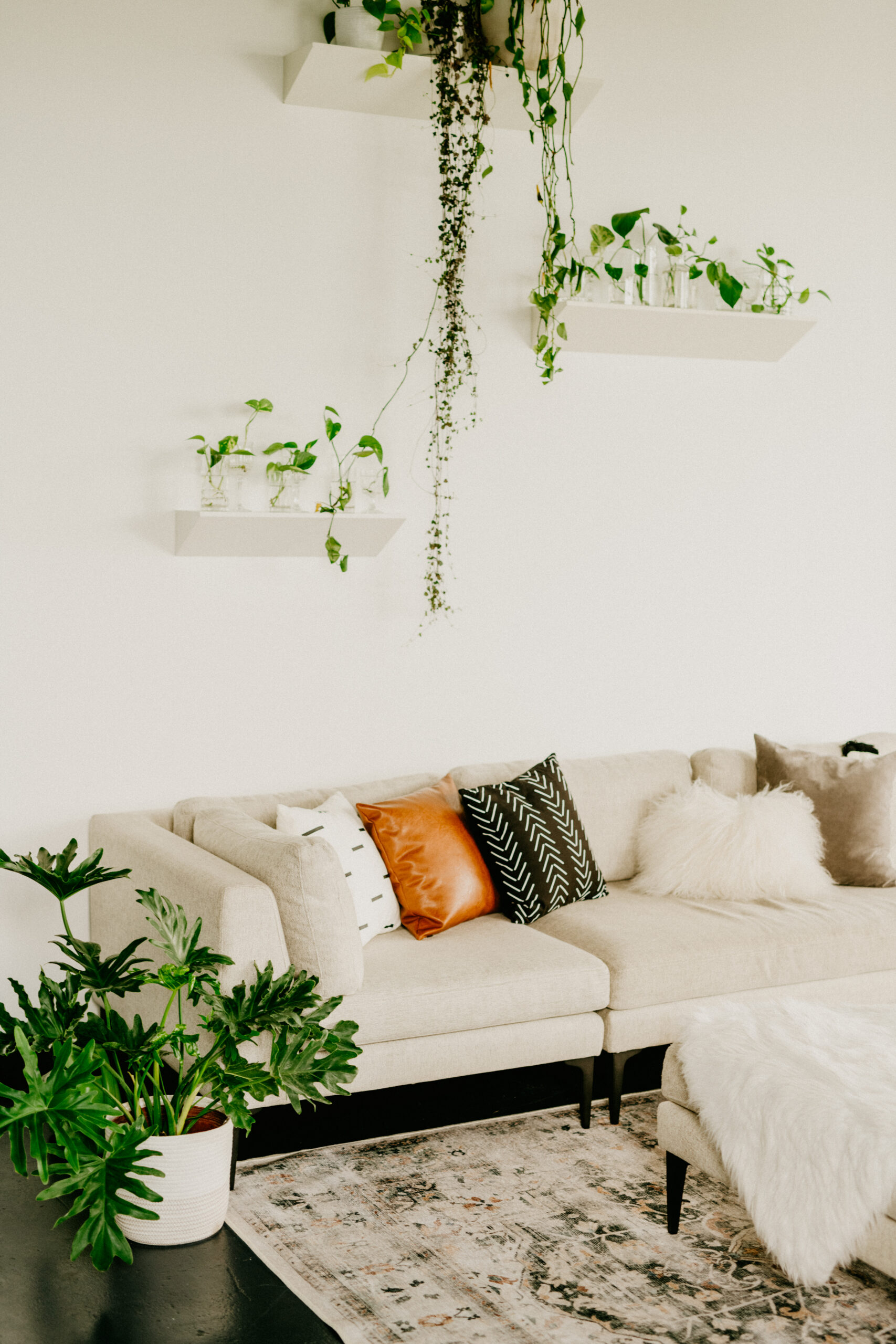 milwaukee photography studio space with plants