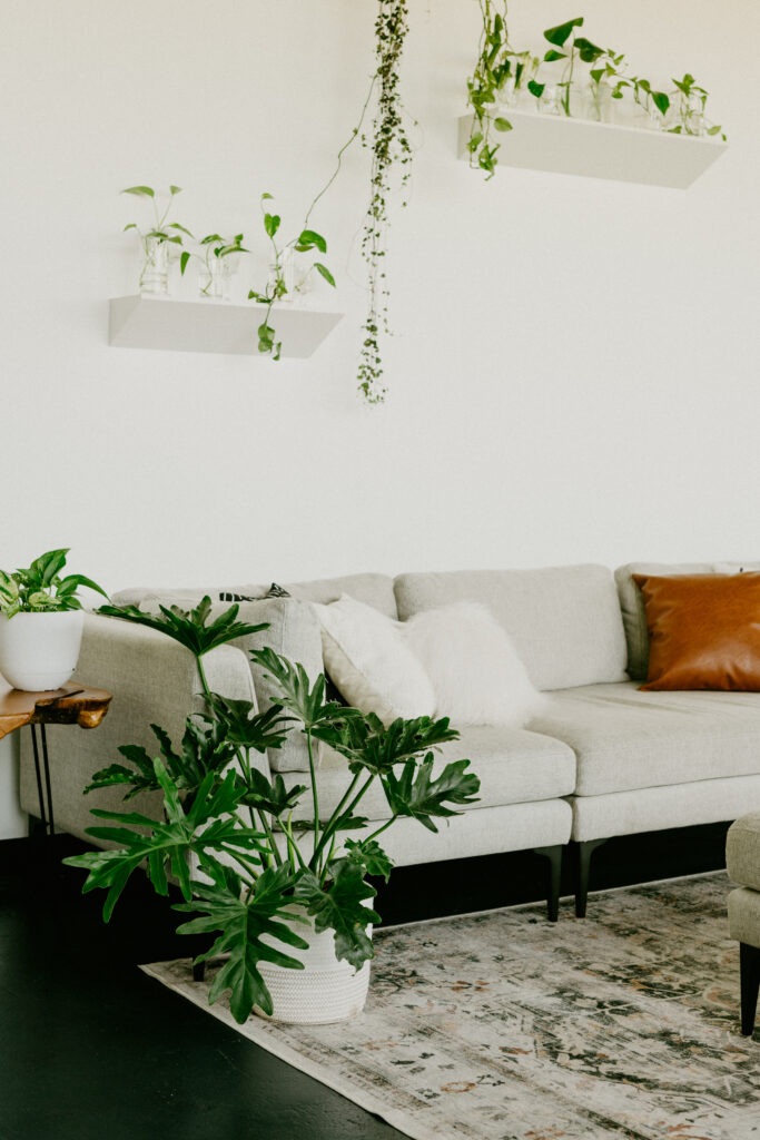 living room with plants and pillows