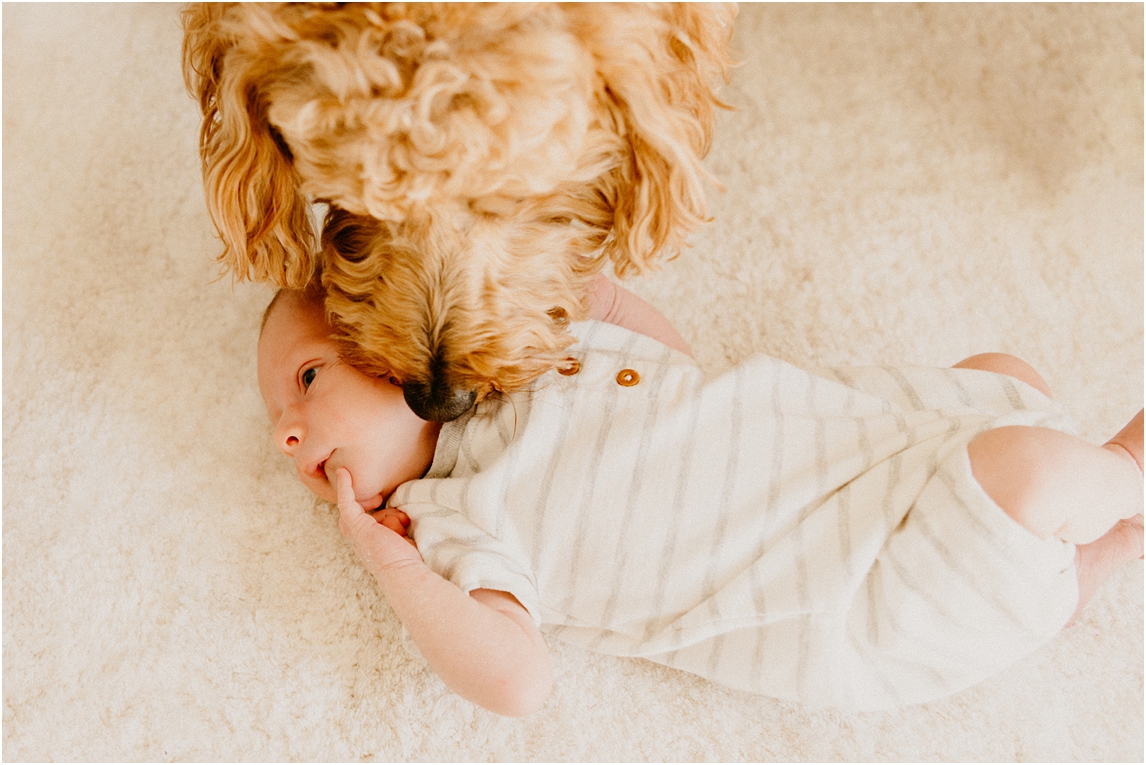 newborn baby with dog