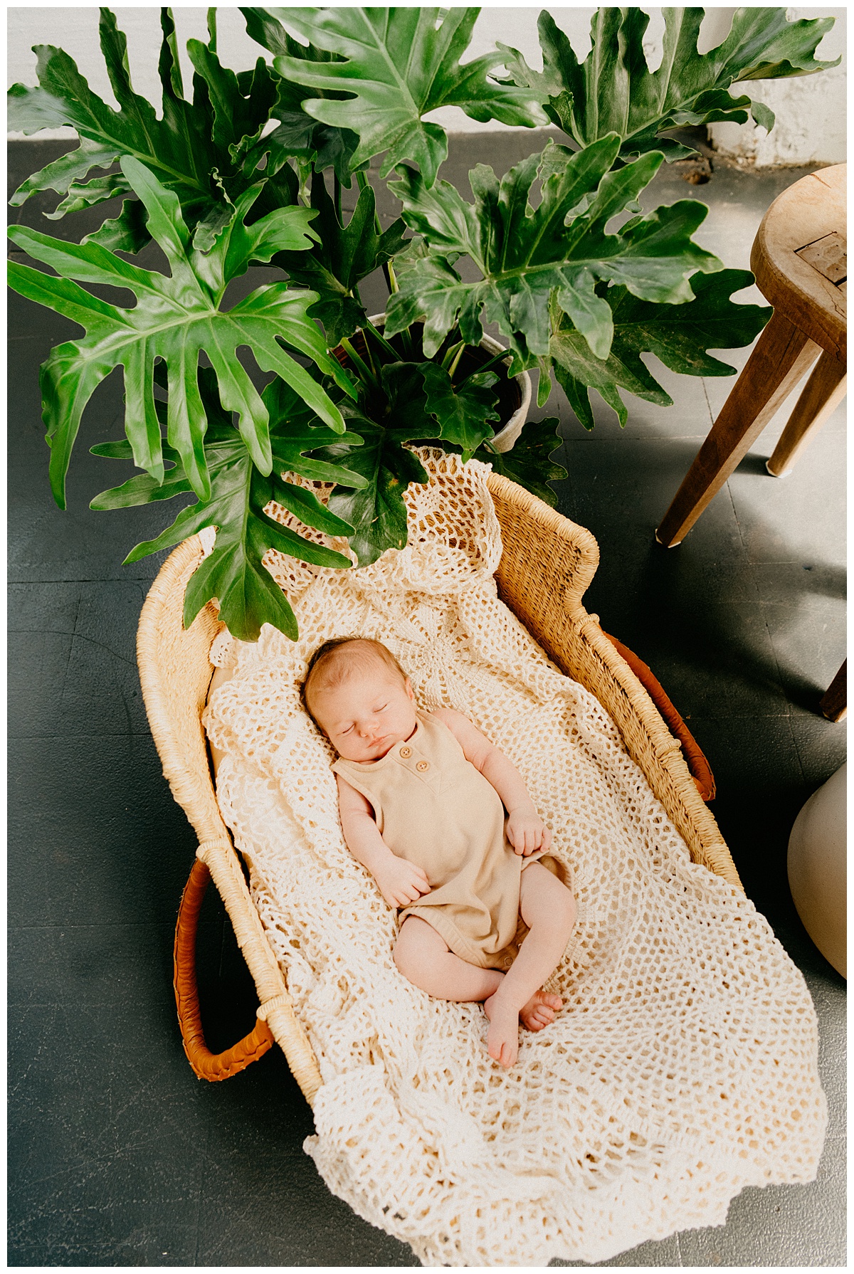 studio newborn photography session with houseplants