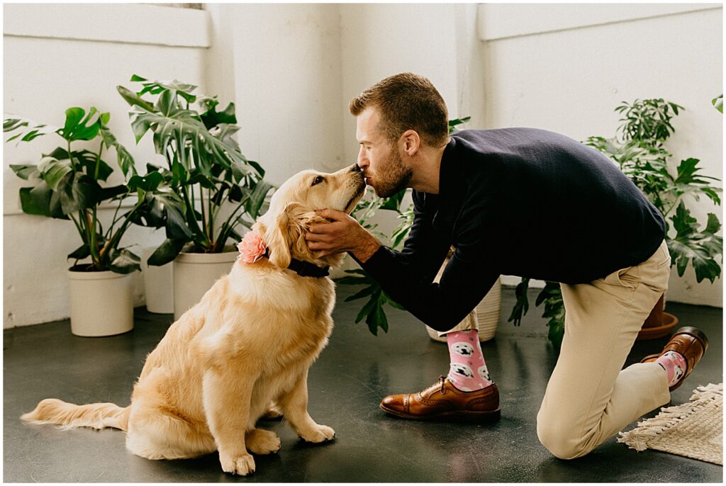 puppy kissing owner