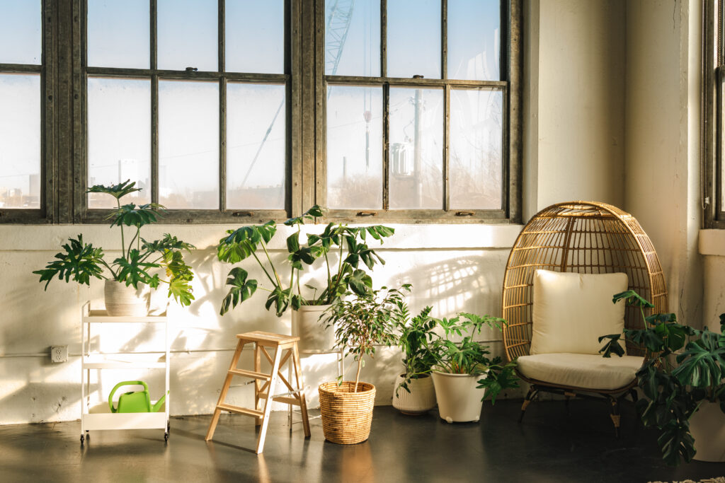 photography studio with plants