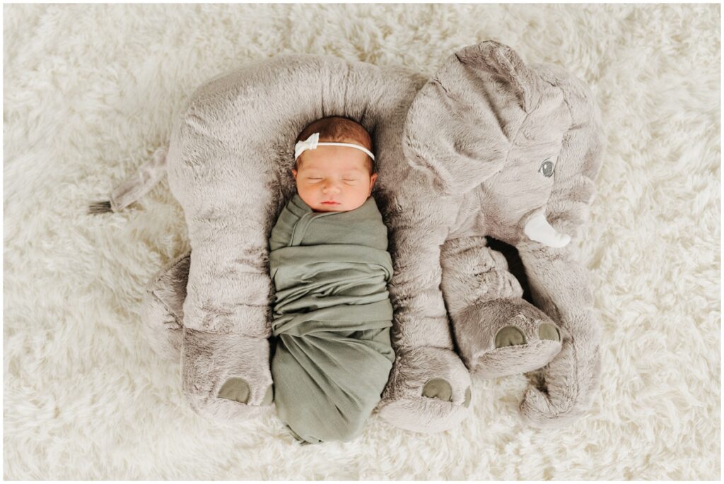 newborn baby with a elephant stuffed animal