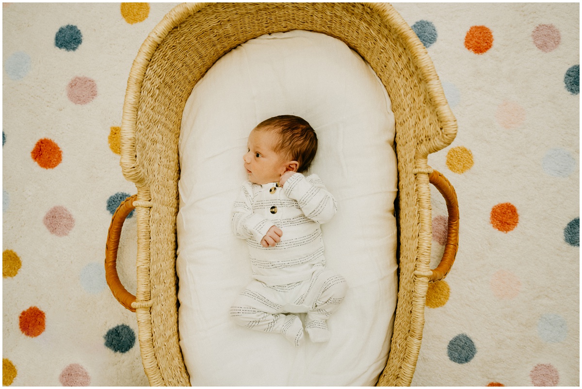 newborn baby boy laying in basket on polka dotted carpet