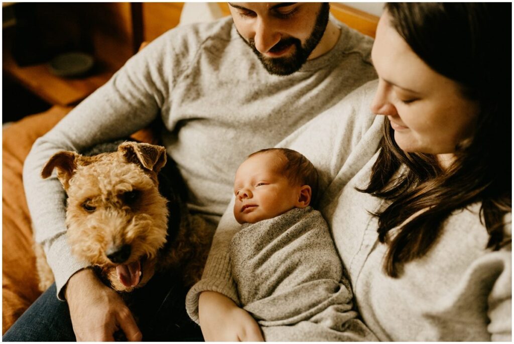 milwaukee in home newborn photography session