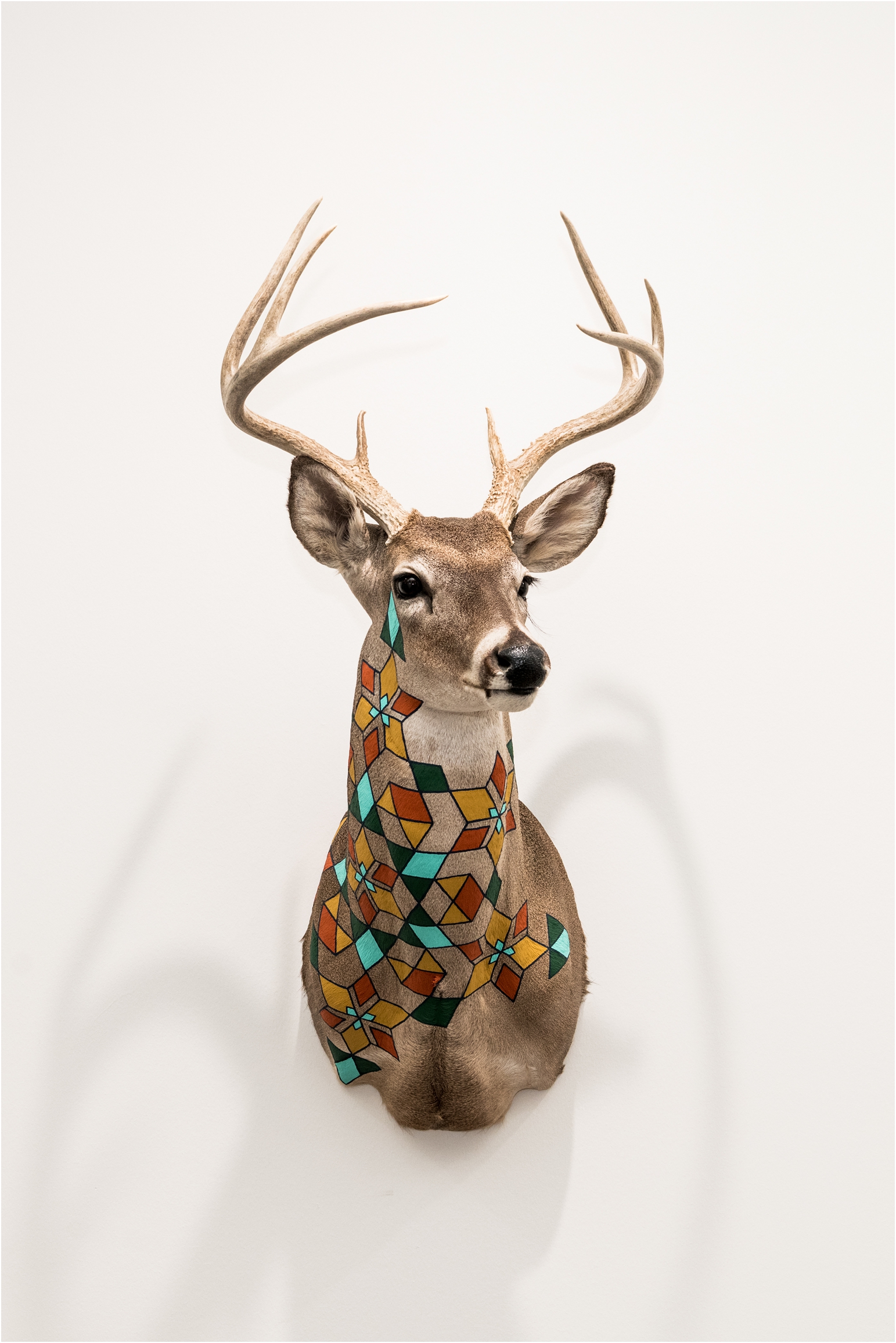 painted deer head