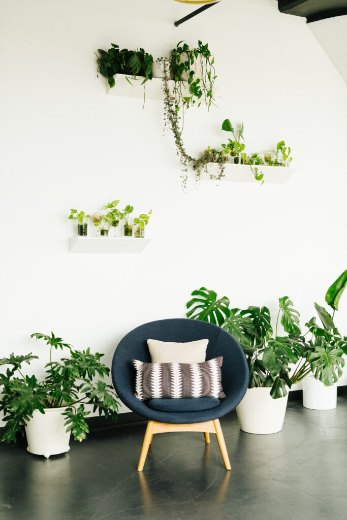 photography studio with plant wall