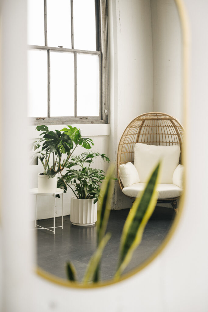 egg chair and houseplants in mirror reflection