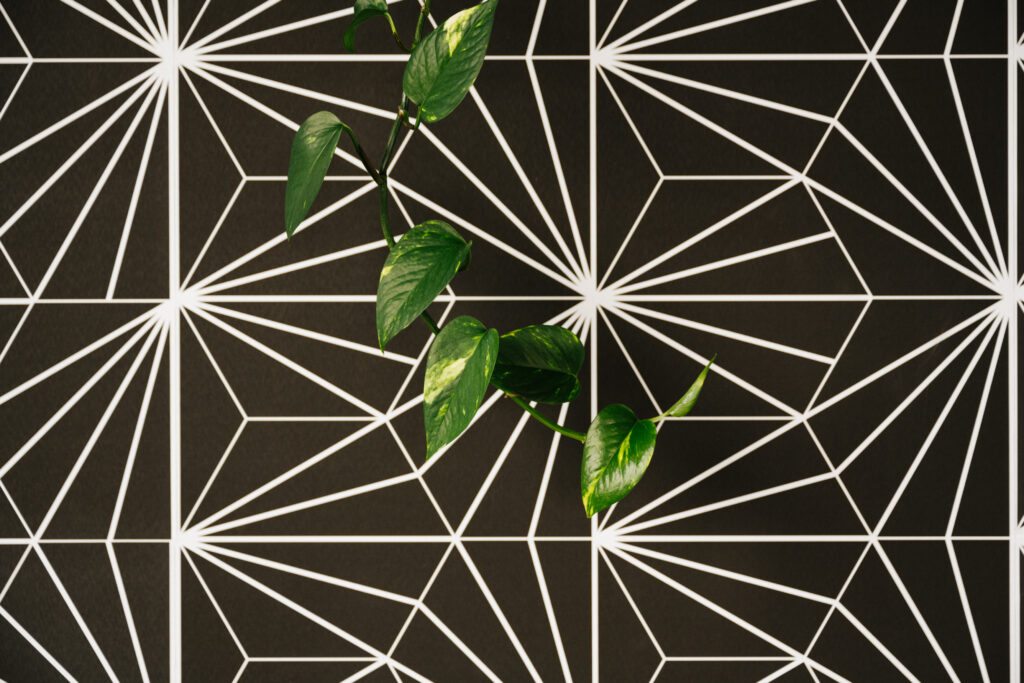 plant leaves on geometric wallpaper