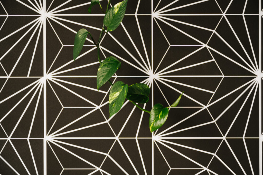 plant leaves on geometric wallpaper