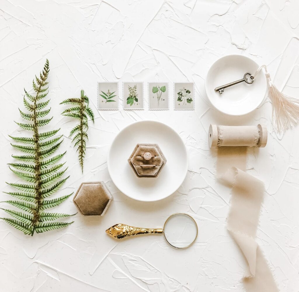Botanical Flat Lay Styling Kit for Photographers