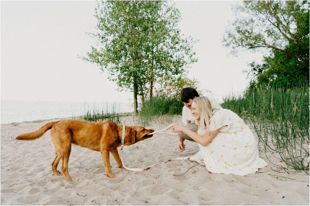 husband and wife playing tug with dog at the beach