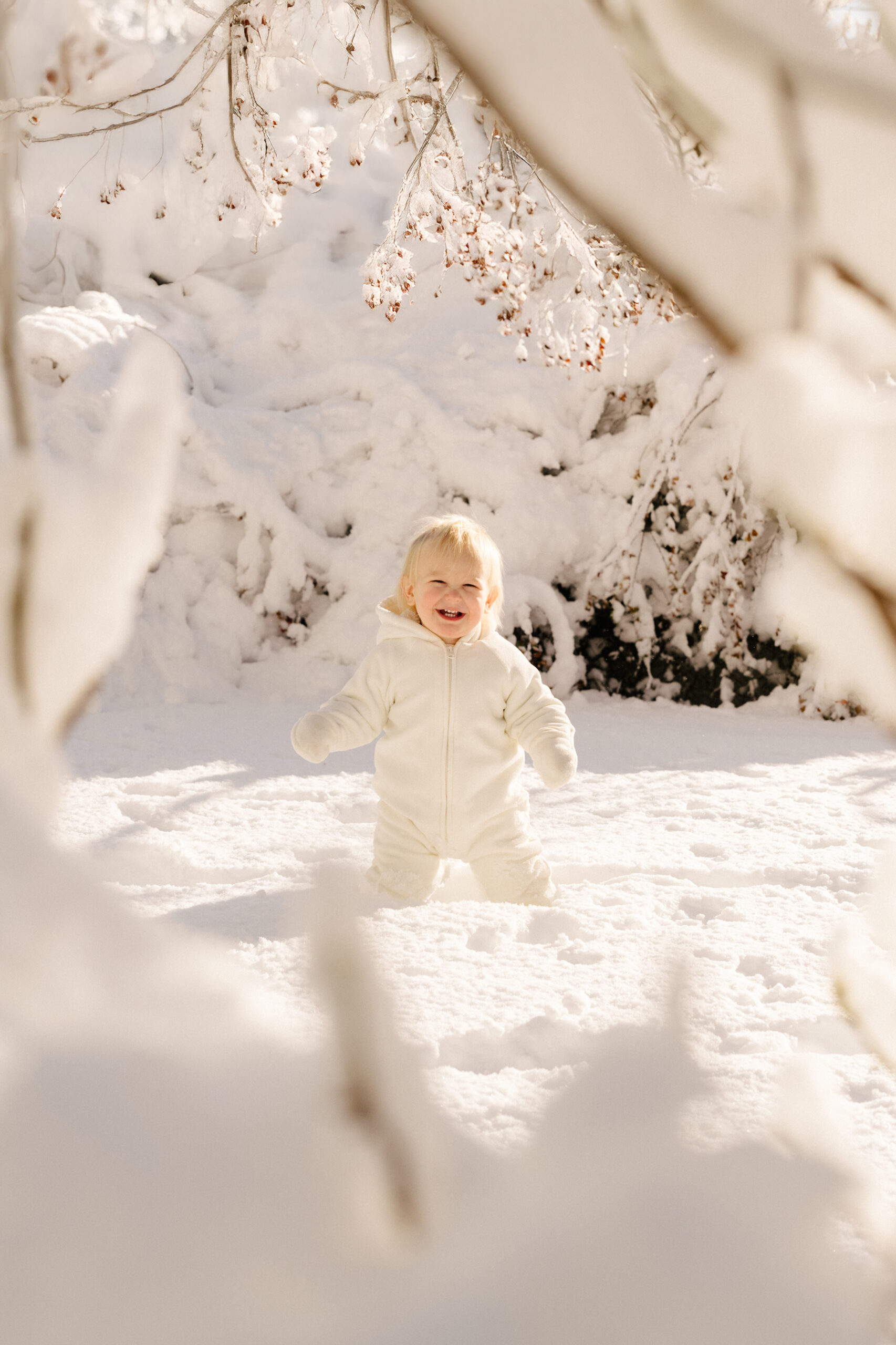 little boy in the snow Mequon Wisconsin