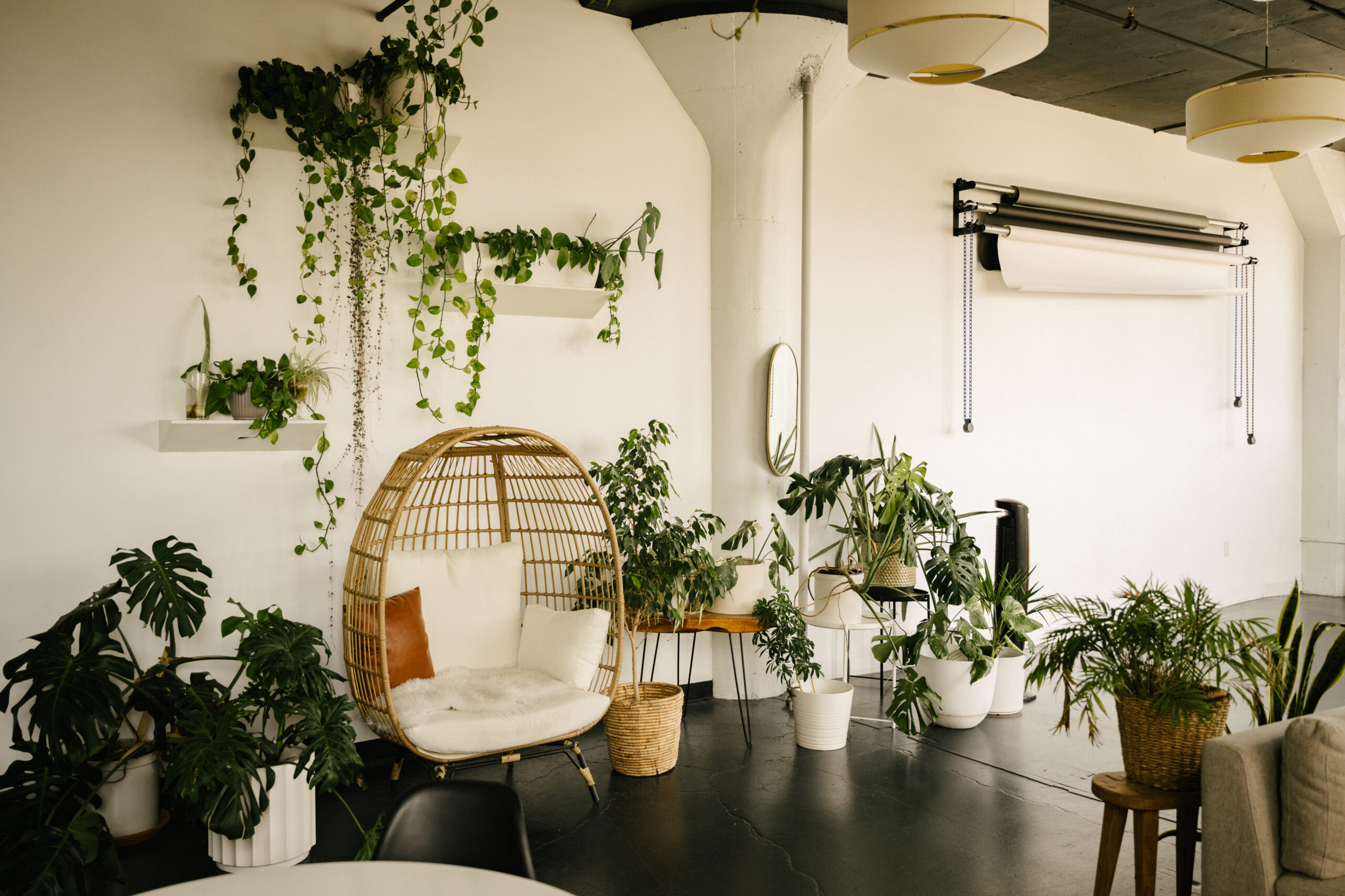 a plant filled studio space in milwaukee